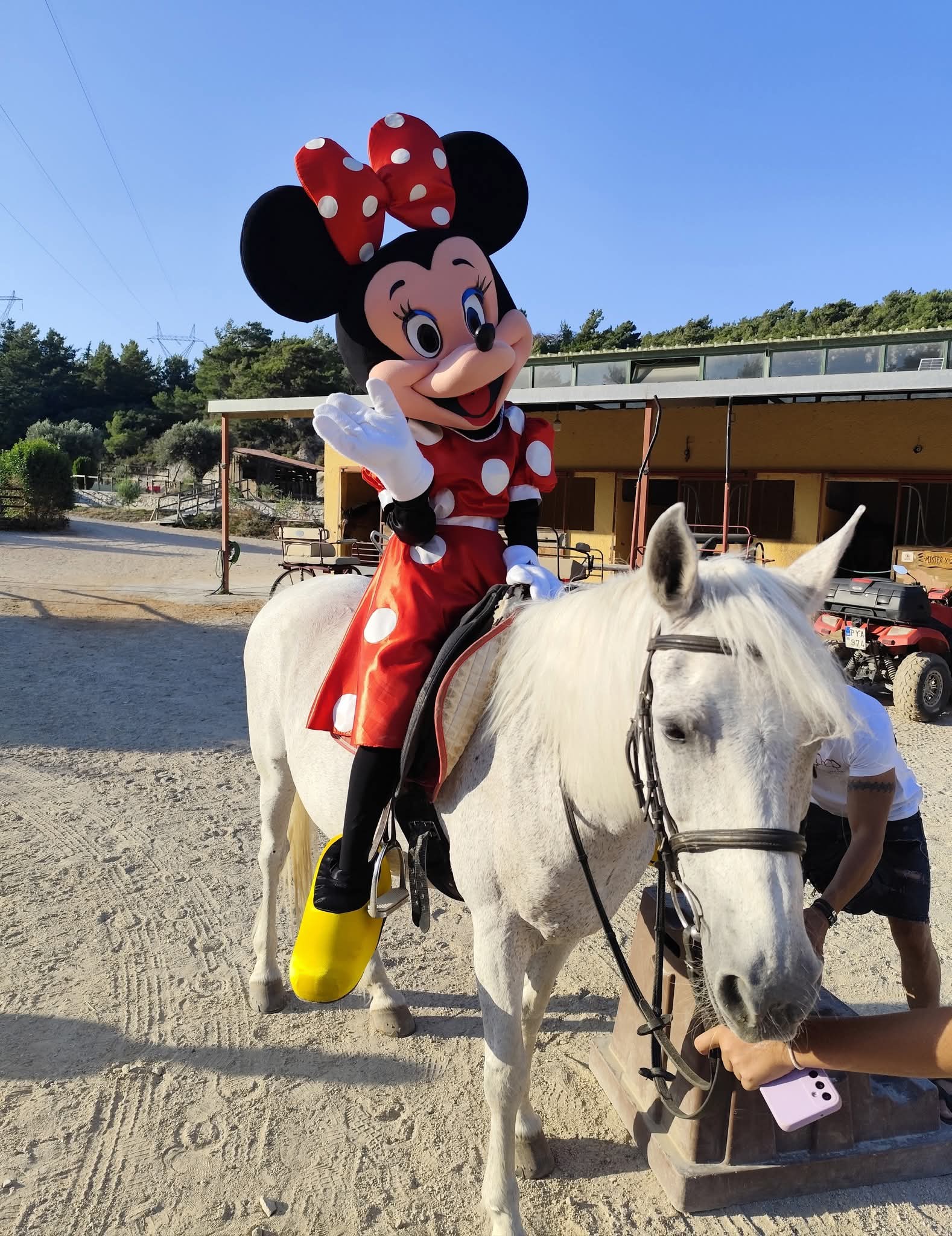 Minnie