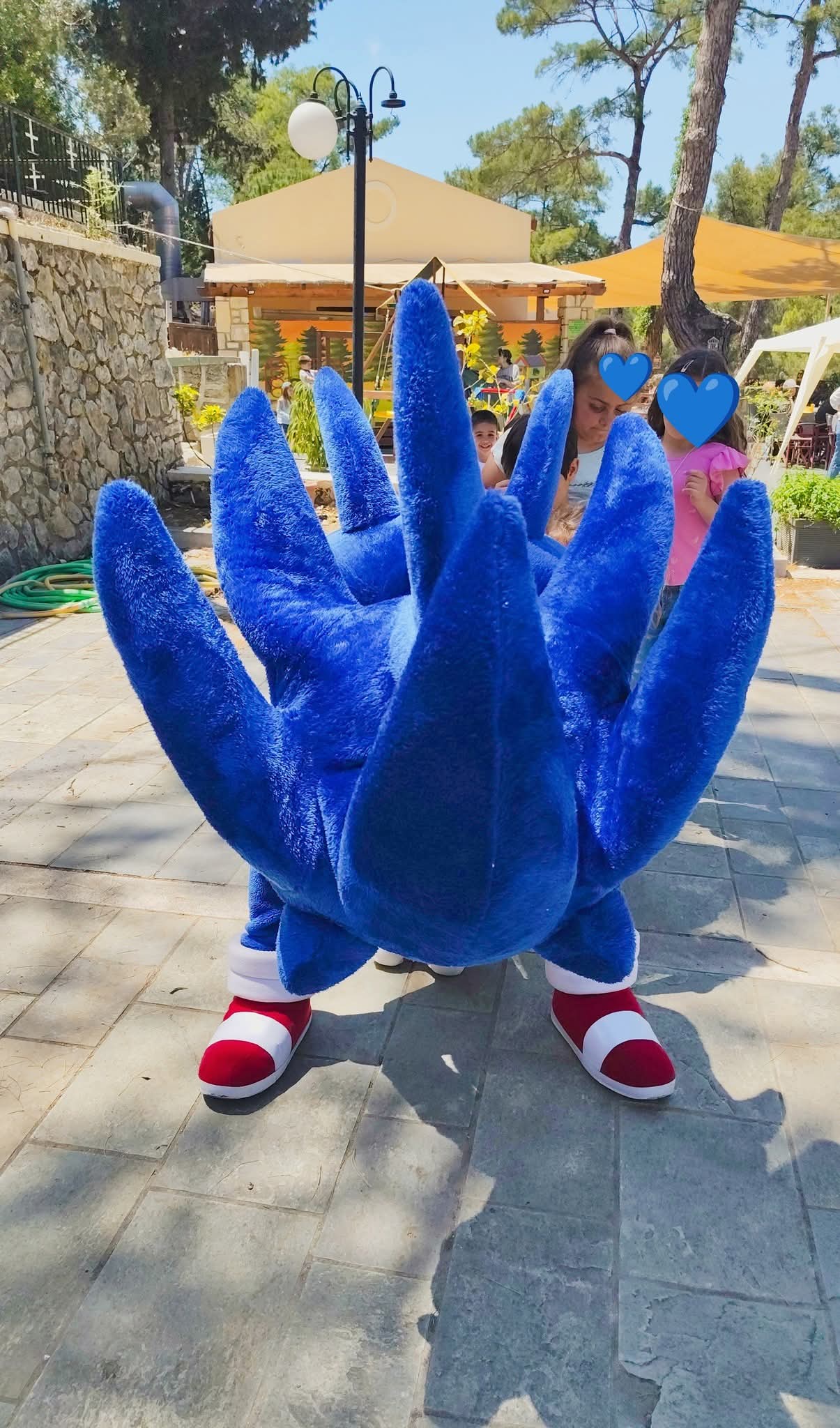 Sonic