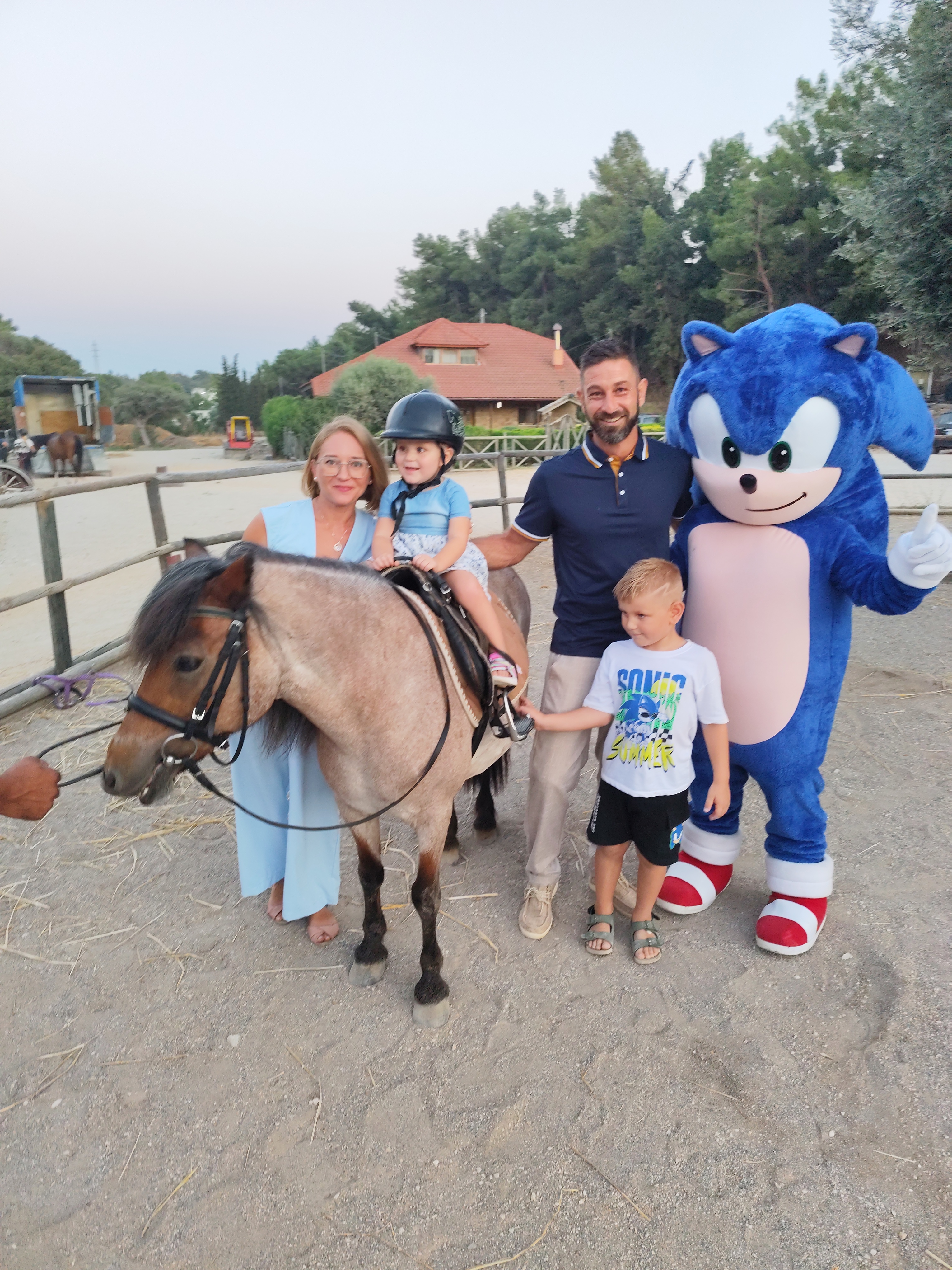 Sonic