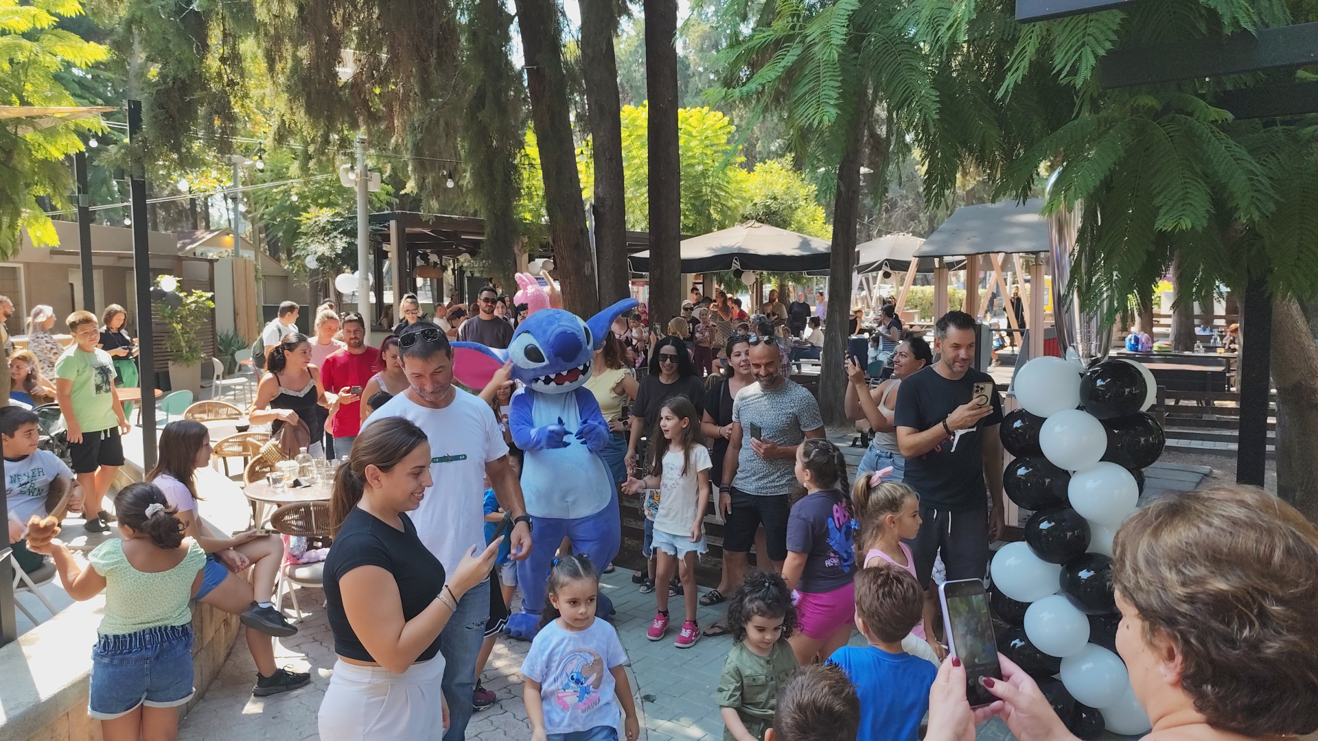 Stitch